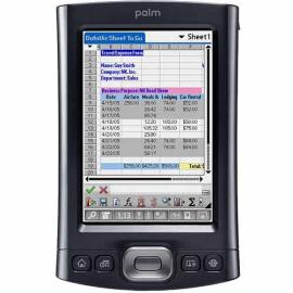 Palm